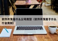 软件开发是什么公司类型（软件开发属于什么行业类别）