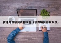 软件开发项目名称大全（软件项目开发实例）