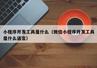 小程序开发工具是什么（微信小程序开发工具是什么语言）