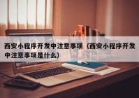 西安小程序开发中注意事项（西安小程序开发中注意事项是什么）